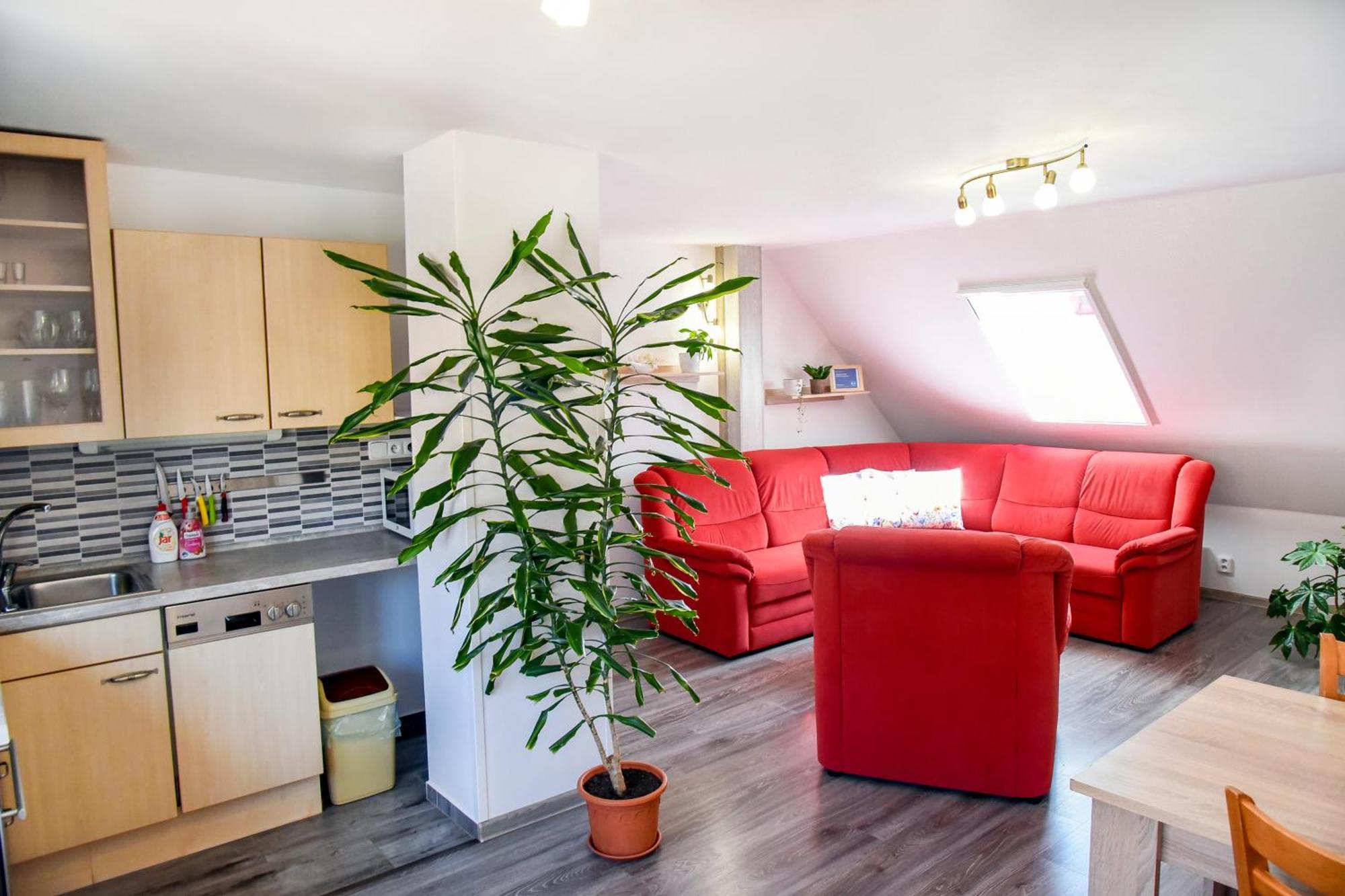 Ubytovani Pod Svetem-Apartman Trebon Exterior photo